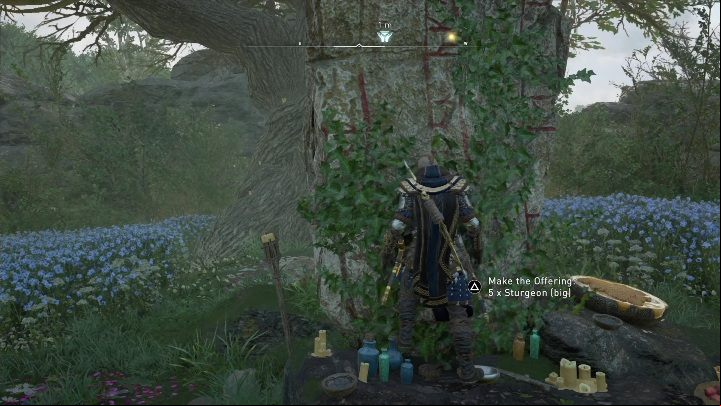There is 1 Offering Altar in this region - AC Valhalla Wrath of the Druids: Meath - map - Maps of Ireland - Assassins Creed Valhalla Guide and Walkthrough