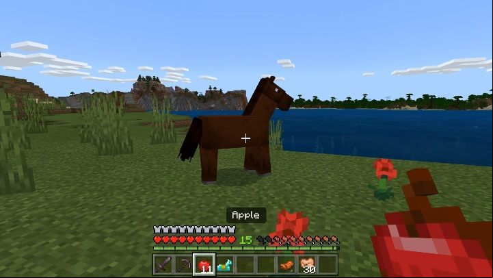 Before you get on a horse, you have to get his sympathy - Minecraft: Mounts - Mobs - creatures of the world - Minecraft Guide