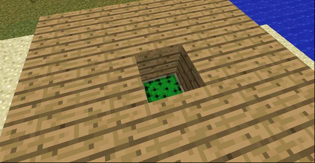 A dump made with the use of the cactus - Minecraft: Cactus dump - Hints for the house - Minecraft Guide
