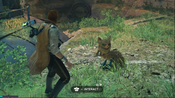Notes: Boglings are small friendly creatures that you can encounter starting from first visit to Koboh - Star Wars Jedi Survivor: Trophies / Achievements - list of all, trophy guide - Annex - Star Wars Jedi Survivor guide